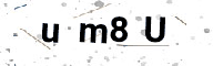 334258